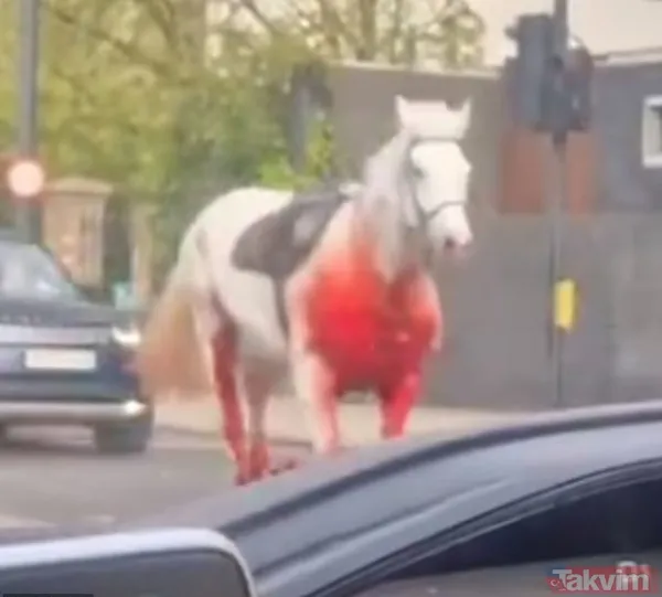 Öfkeli beş Kraliyet atı Londra’yı birbirine kattı! Kaçak atlardan biri sabıkalı çıktı: Kral Charles’ın taç giyme töreninde kafaya tekme - 8