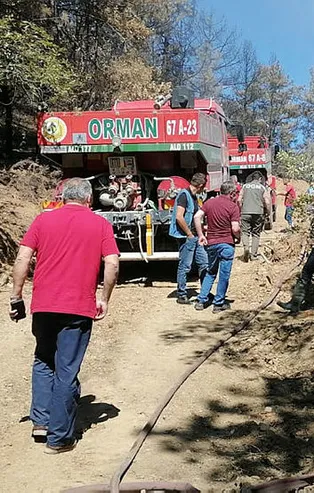 Karabük'te orman yangını