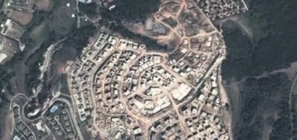 Eczacıbaşı ağaç ekti