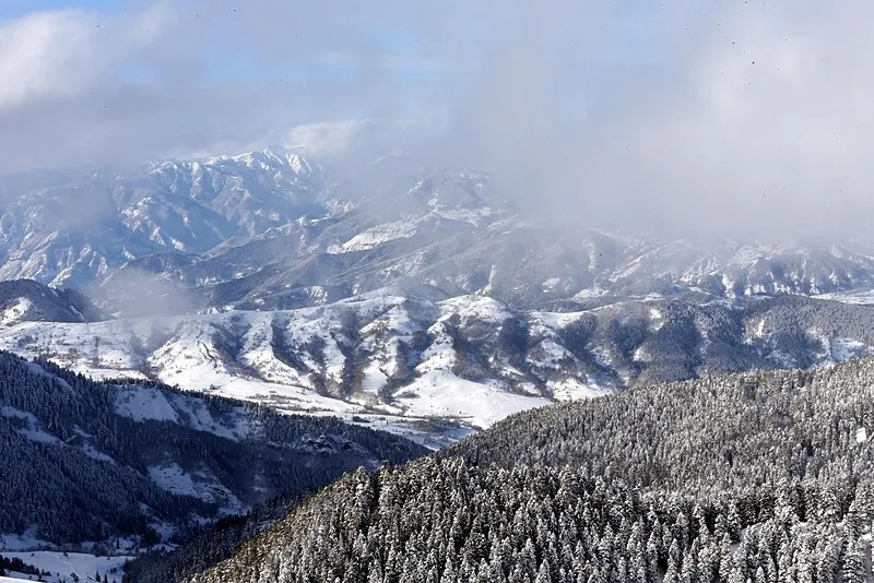 Artvin'de kar yağışı (AA)