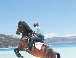 Dolunay zamanı!