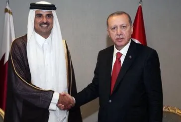 Bakan Erdoğan Al Sani ile görüştü