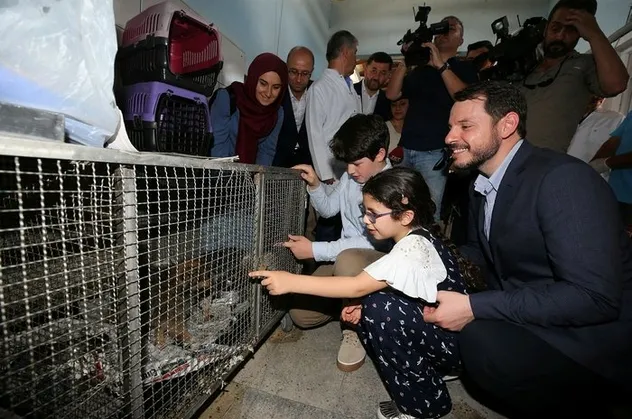 Bakan Albayrak'tan yavru köpeğe işkence açıklaması