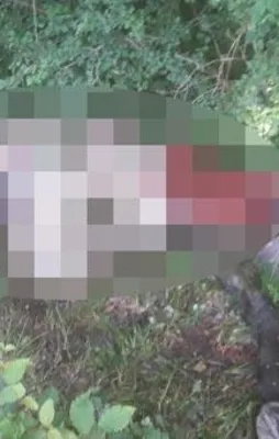 Aç kurtlar atı parçaladı