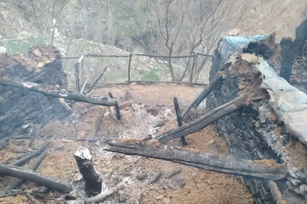 Ahırda yangın: 76 hayvan telef oldu