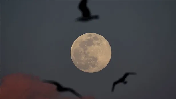 butun-dunya-bu-haberi-bekliyordu-nasa-aydaki-heyecan-verici-kesfi-duyurdu-1603733894560.jpg Bütün dünya bu haberi bekliyordu! NASA, Ay'daki büyük keşfi duyurdu-2