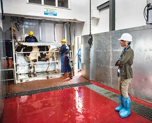 Kurban eti nasıl tüketilmeli? Kurban eti yıkanır mı?