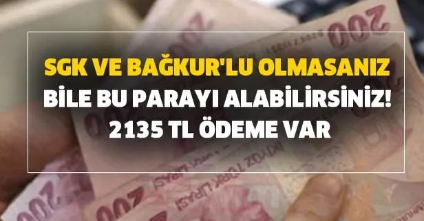 SGK ve Bağkur'lu olmasanız bile bu parayı alabilirsiniz! 2135 TL ödeme var