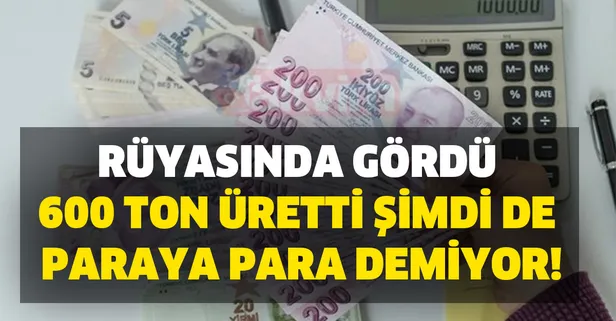 Girişimciliğin nirvanası... Rüyasında gördü! 600 ton üretti, şimdi de paraya para demiyor!