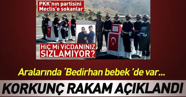 İçişleri Bakanlığı korkunç rakamı açıkladı! Aralarında Bedirhan bebek de var