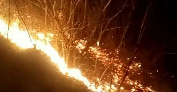 Osmaniye Düziçi’nde orman yangını! Alevler yükseldi