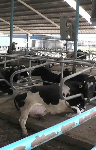 'Sütbank' davasında flaş gelişme!