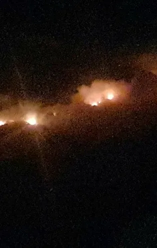 Aydın'da makilik alanda korkutan yangın