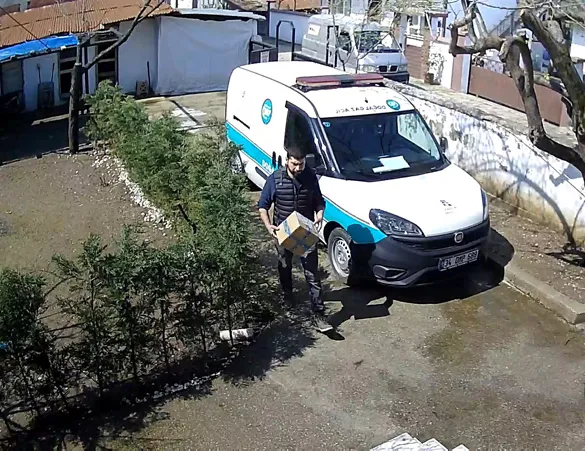 Köpekten korkan kurye can havliyle ağaca tırmandı