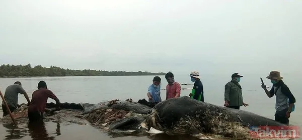 Midesine güvenenler baksın! Kulak ağrısıyla hastaneye giden adamın kulağından çıkanlar dünyayı şoke etti - 22