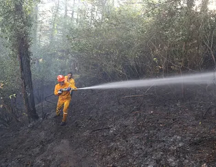 Kastamonu’da orman yangını! Çamlık alana yayıldı