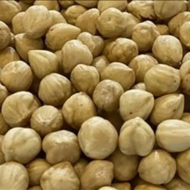 Gençlik fındıkta saklı