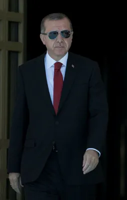 Fransız yazar: "Erdoğan Batı'ya meydan okuyor"