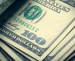 Hükümetten kritik dolar açıklaması