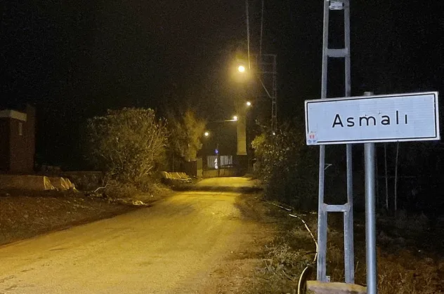 Adana'da mavi dil alarmı! Bölge karantinaya alındı | Mavi dil hastalığı nedir, belirtileri neler?
