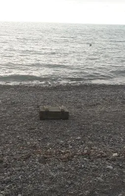 İçi mühimmat dolu sandık kıyıya vurdu