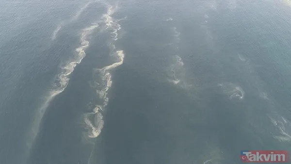 Müsilaj kabusu geri döndü! İstanbul'da müsilaj her geçen dakika artıyor - 5