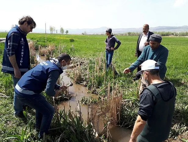 Van'da sulama kanalındaki 3 ton inci kefali Tarım ve Orman Müdürlüğü ekiplerince kurtarıldı-1