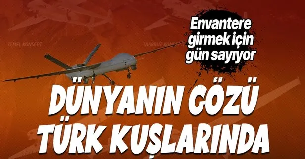 Türkiye’nin yeni gücü Aksungur 2020’ye damga vurdu! Dünyanın gözü Türk kuşlarında