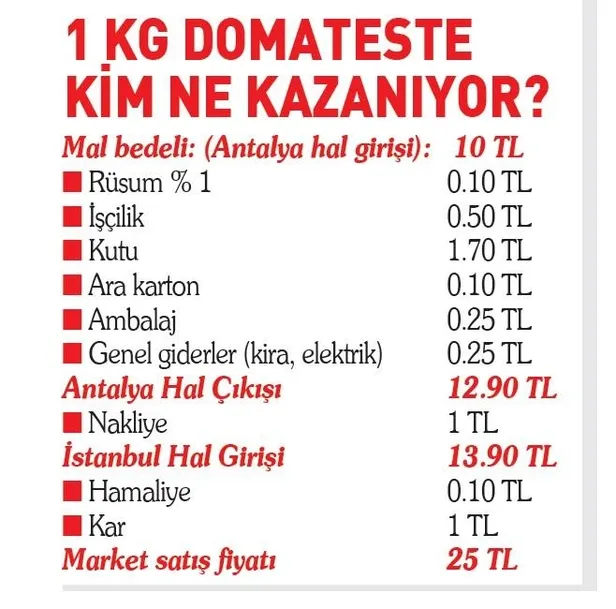 Marketlerin kilosunu 25 liraya sattığı domateste kim ne kadar kazanıyor? İşte vurgunu ifşa eden tablo-5