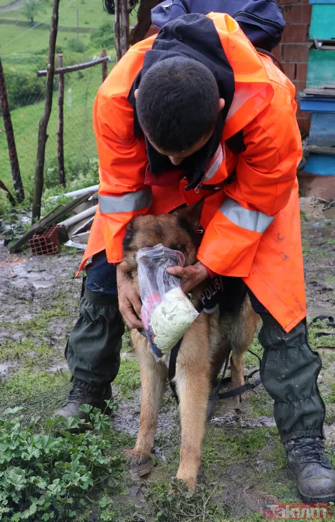 Müge Anlı Ecrin olayıyla ilgili şok eden gerçeği ortaya çıkardı! Samsun Vezirköprü'de didik didik aranan Ecrin Kurnaz... - 7
