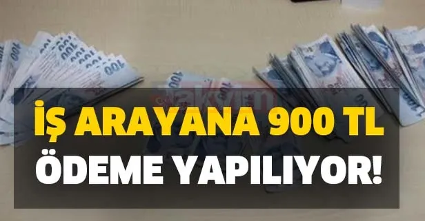 İş arayana 900 TL ödeme yapılıyor! Nasıl alınır başvuru şartları nedir detaylar...