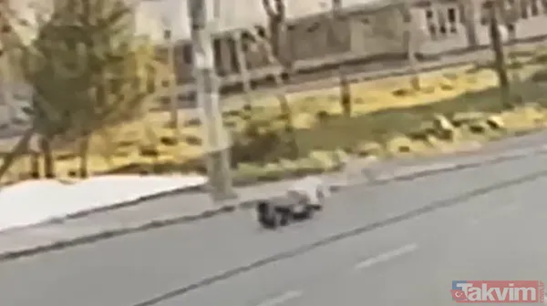 Peş peşe sokak köpeği saldırıları! İzmir ve Erzurum'dan şok görüntüler - 3