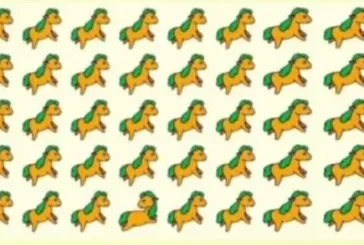 Sadece zehir gibi zihinler bu testi şıp diye geçiyor! Farklı olan atı bulabilir misin?