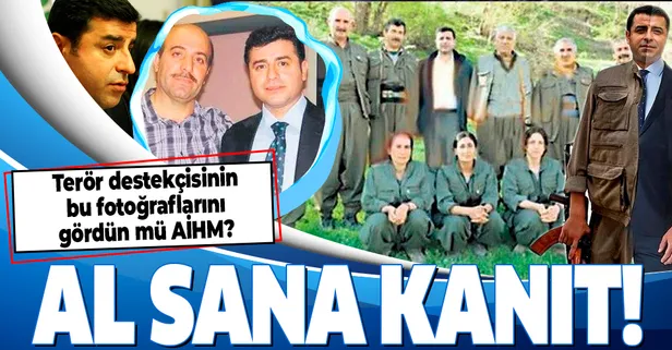 SON DAKİKA: AİHM'den skandal Selahattin Demirtaş kararı! İşte terör destekçiliğinin fotoğrafları
