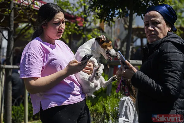 İstanbul 6,2 ile sallandı! Vatandaşlara kritik uyarı: İşte deprem anında yapılması gerekenler - 7