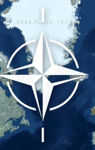 Gelecekteki tehditlere karşı uzmanlardan NATO'ya tavsiyeler