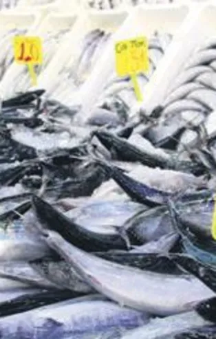 Balık fiyatları düşüş devam ediyor! 20 TL'ye sardalya 25 TL'ye palamut
