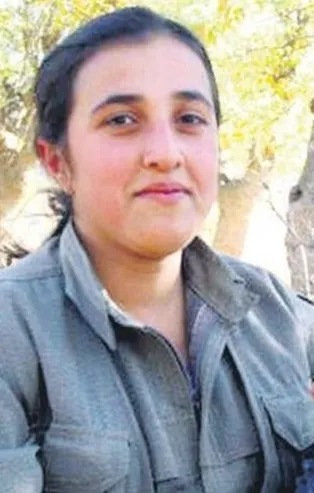 İşte HDP-PKK iş birliği! Öldürülen PKK'lı terörist eski HDP'li yönetici çıktı!