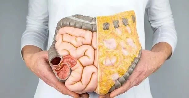 Fasulye-yumurta kansere yakalanma