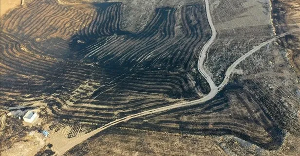 AFAD duyurdu! Diyarbakır ve Mardin'deki yangınlardan etkilenen mahalleler afet bölgesi ilan edildi: 55 milyon lira ödenek gönderildi