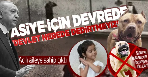 Başkan Erdoğan, pitbull saldırısında ağır yaralanan minik Asiye için devrede: Devlet nerede dedirtmedik dedirtmeyeceğiz