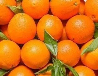 Kansızlığa portakal