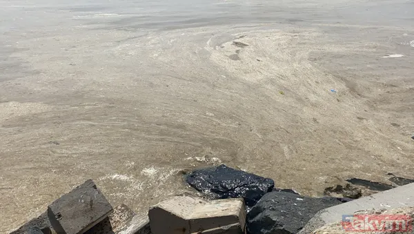 İstanbul Fenerbahçe Sahili deniz salyası kaplandı - 11