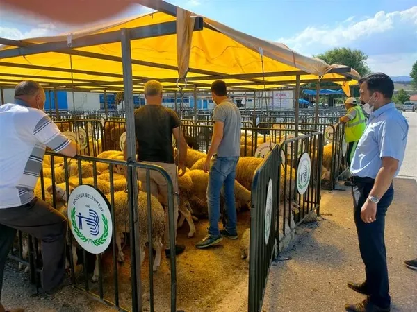 Dikkat! Sakın bunları yapmayın! Sağlık Bakanlığı'ndan Kurban Bayramı uyarısı!-5