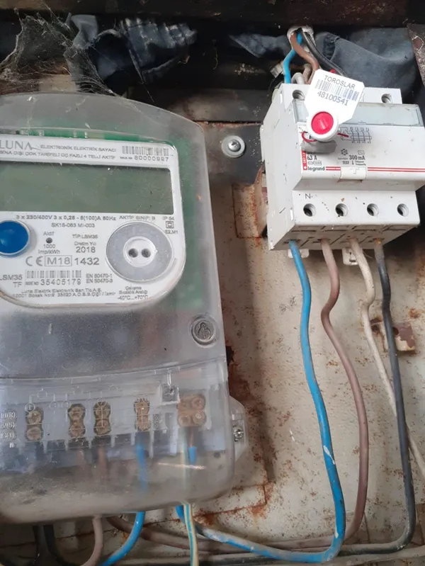 elektrikler-kesilince-2-bin-450-tavuk-telef-oldu-1661515719882.jpg