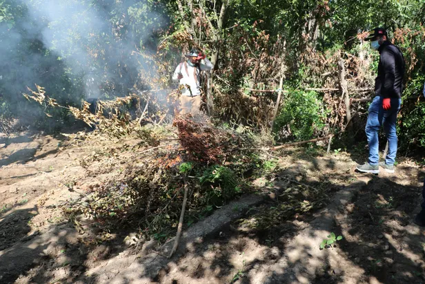 UNESCO Dünya Kültür Mirası Listesi'nde yer alıyor! Hevsel Bahçeleri'ne operasyon-4