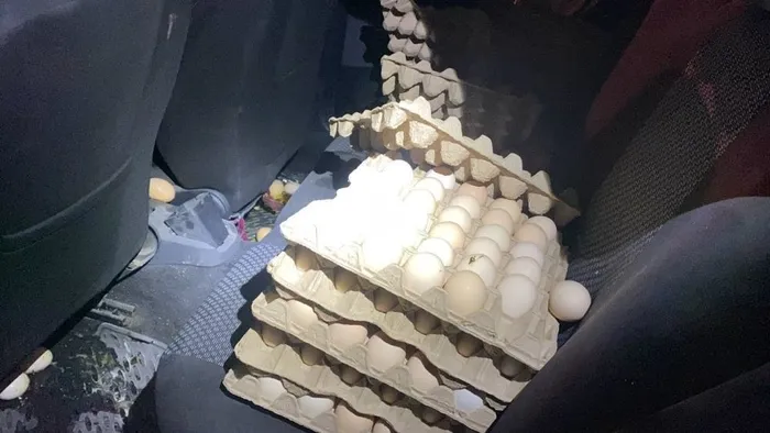 dur-ihtarina-uymayan-surucuden-akilalmaz-savunma-arabamda-yumurta-var-1701671207654.jpeg "Dur" ihtarına uymayan sürücüden akılalmaz savunma: Arabamda yumurta var-2