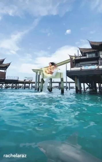 Rachel Araz yürekleri ağza getirdi! Gözünü kırpmadan köpek balıklarıyla dolu denize atladı