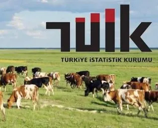 Hayvansal üretim istatistikleri açıklandı