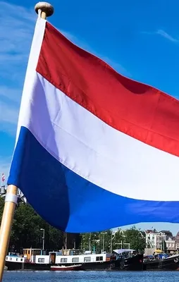 Hollanda'dan darbeci hainlere sığınma hakkı